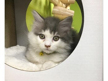 リフレス/遊ぶのが大好き！