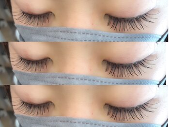 プラン アピ(plan api)/マツエク