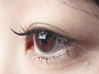 フレイズ(FRAISE)/デザイン例