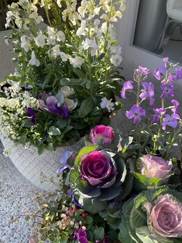 ポーラ 芦屋GOLD店(POLA)/季節のお花