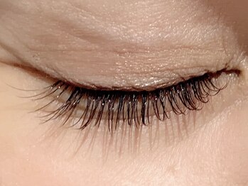 カラン 焼津店(CALIN)/フラットブラウン120本