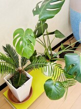 サロン ビールーム(salon 美-room)/内観