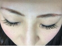 シュシュ(chou chou)/セーブル160本(chouchou吉祥寺)