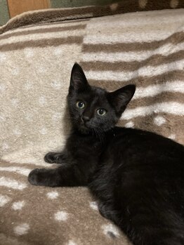 ソワンド ルバンシュ/キキです☆よろしくお願いします