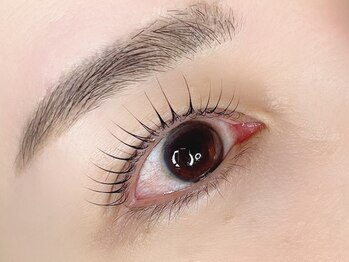 プレジール(Plaisir)/セットメニュー