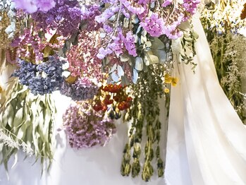 カシェット(Cachette)/店内/ドライフラワー