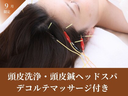 アキュレ(Acure)の写真