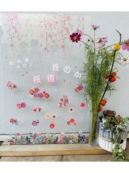 桜香(ほのか)/やっと秋になりました♪R7.9.27