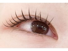 ブリランテ/フラットラッシュ120本