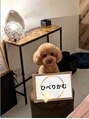 ひぺりかむ/*ひぺりかむ*(HPL)