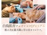【毛穴＋上質底上げフルケア】白鳥肌育フェイシャル（プレミアム）