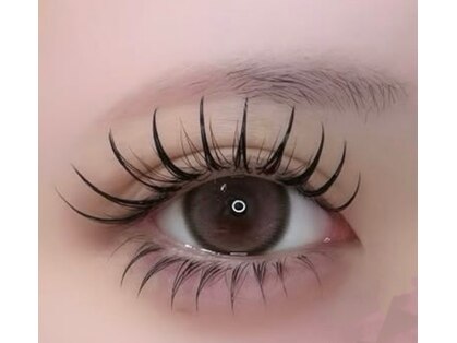 プカ(Puka)の写真