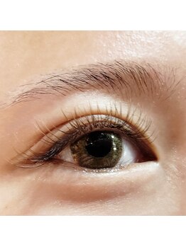 カミュージョ(Kamyujo)/