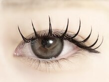 プレモ(Premo)/バインドロック80束