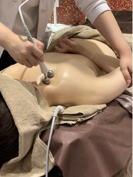 ルピナス(Lupinus)/【ウルトランスフォーマー】背面