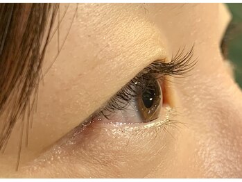 レミア 関内(REMIA)/12月　ダークブラウン