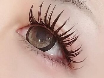 ポラリス(polaris)の写真/当店人気No1バインドロック×&ヘルシー究極の束感がカンタンに作れる★polarisで叶える究極マツエク！