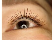 カシェ(cache)/秋カラーデザイン