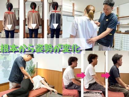 荒川沖姿勢改善整体アースの写真