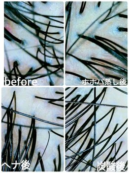 モバード(MOVADO)/