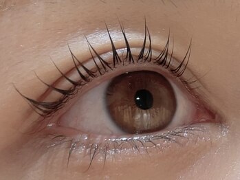 カラン 焼津店(CALIN)/シンプリフィ