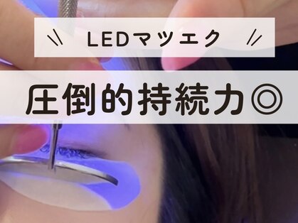 オベリオ アイラッシュ(OBERIO eyelash)の写真