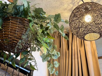 ジェリタブラン/エステルーム