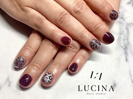 T-273 大人可愛いレオパード