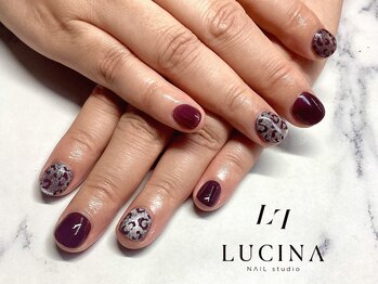 T-273 大人可愛いレオパード