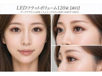 チック(chick)/LEDフラットボリューム120束