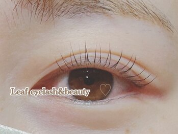 リーフ(Leaf)/ラッシュリフト