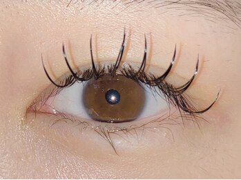 プラスアイ 銀座中央通り店/フラットラッシュ 担当:國井