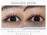 SNSで話題★【マスカラパーマ】¥7,700