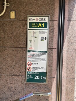 がじゅまる/道順 1