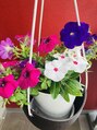 ココムーン(KoKo moon) 自宅で花の寄せ植えをしてみました。雨風強い日は室内◎花鑑賞♪