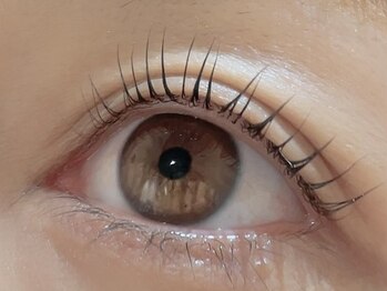 カラン 焼津店(CALIN)/シンプリフィ