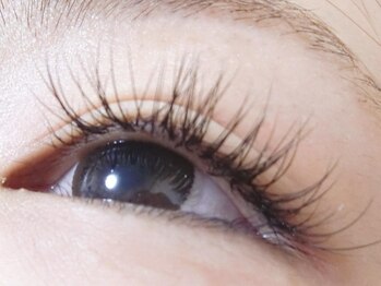 デリカトゥーラ(Delicatura)/