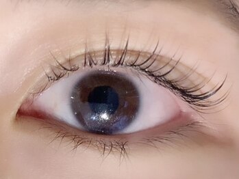 フェイン 渋谷本店(fein.)/まつ毛パーマ ¥6,480