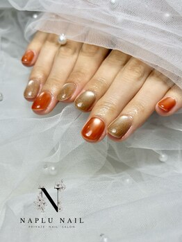 ナプラネイル(Naplu nail)/シンプル　マグネットワンカラー