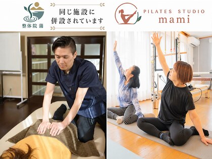 マミ(mami)の写真