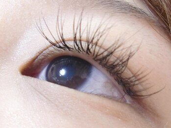 デリカトゥーラ(Delicatura)/