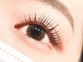 ネオリーブテラス 仙川店(Neolive terrace & Lavie EYELASH)/パリジェンヌ6.600円