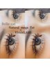 ★大人気！【持続する下まつ毛】EDAMLASH 40束