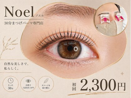 ノエル(30 Noel)の写真