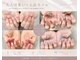 ネスレ ネイル(NESTLE NAIL)の写真