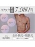 【メンズ脱毛1番人気】【全身脱毛】(顔・VIO込)オススメNo1メニュー