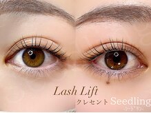 シードリン(Seedling)/まつげパーマ