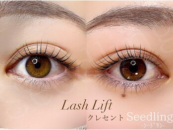 シードリン(Seedling)/まつげパーマ