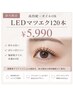 【平日限定】LEDマツエク120本 ￥5990｜高持続・オイルOK