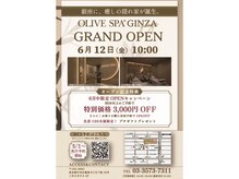 オリーブスパ 銀座店(OLIVE SPA)
